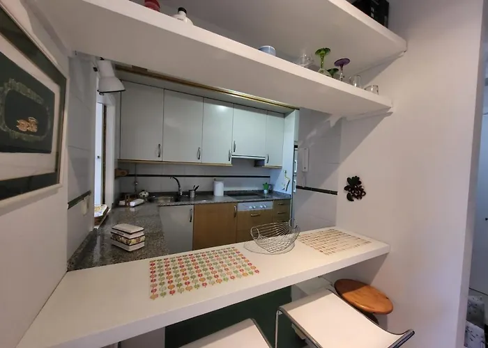 公寓 Pl Do Pazo - 桑亨霍