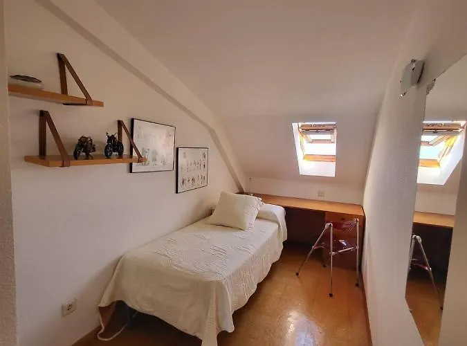 Pl Do Pazo - * 桑亨霍